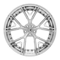 Sixnine V-ONE INLAY | Hyper Silber | 22 Zoll