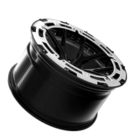Sixnine AeroRing | FF-ONE | 19 Zoll | Hyper Silber