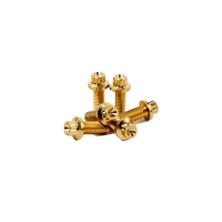 Sixnine Inlayschraubenset Aluminium GOLD